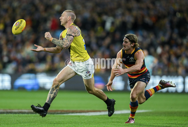 AFL 2024 Round 13 - Adelaide v Richmond - A-50208042