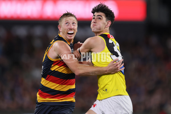 AFL 2024 Round 13 - Adelaide v Richmond - A-50208044