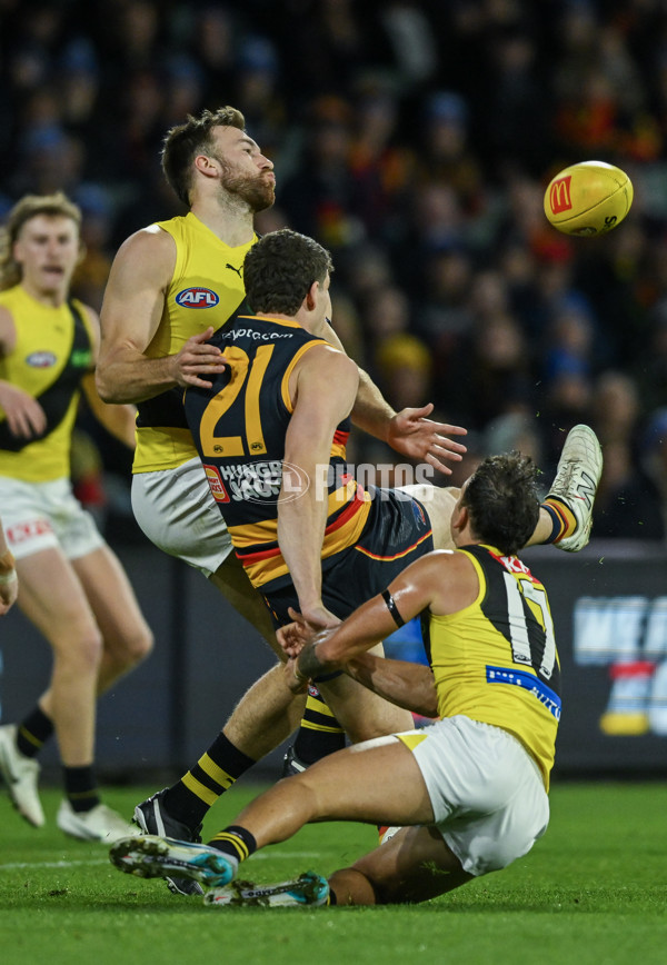 AFL 2024 Round 13 - Adelaide v Richmond - A-50208048