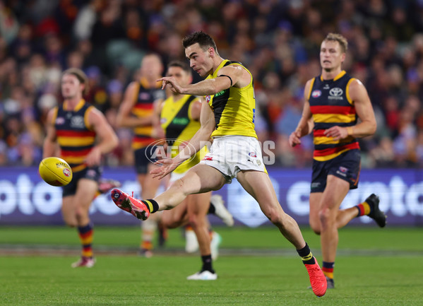 AFL 2024 Round 13 - Adelaide v Richmond - A-50208050