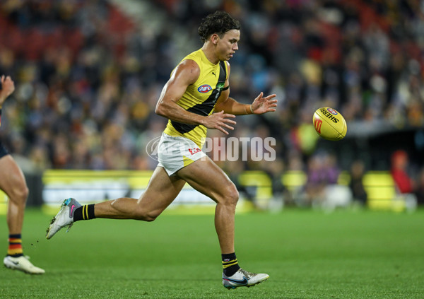 AFL 2024 Round 13 - Adelaide v Richmond - A-50208051