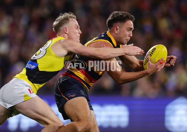 AFL 2024 Round 13 - Adelaide v Richmond - A-50208053