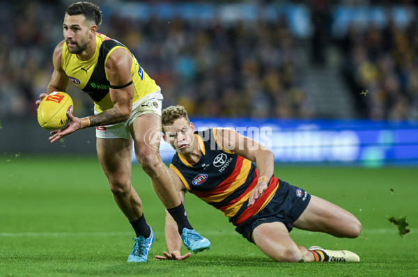 AFL 2024 Round 13 - Adelaide v Richmond - A-50208055