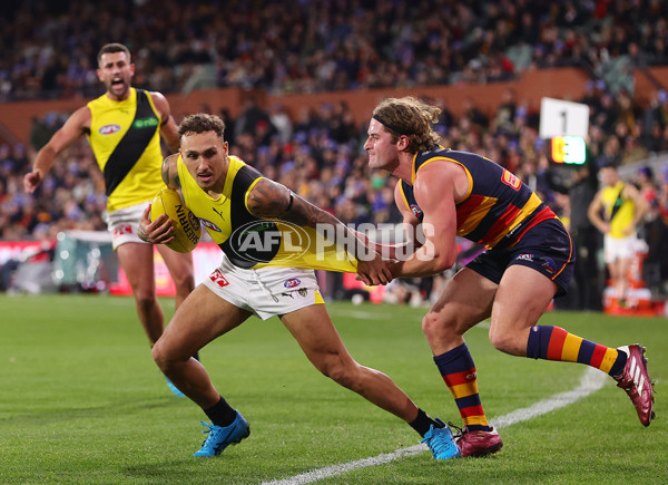 AFL 2024 Round 13 - Adelaide v Richmond - A-50208059