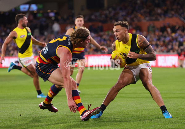 AFL 2024 Round 13 - Adelaide v Richmond - A-50208062