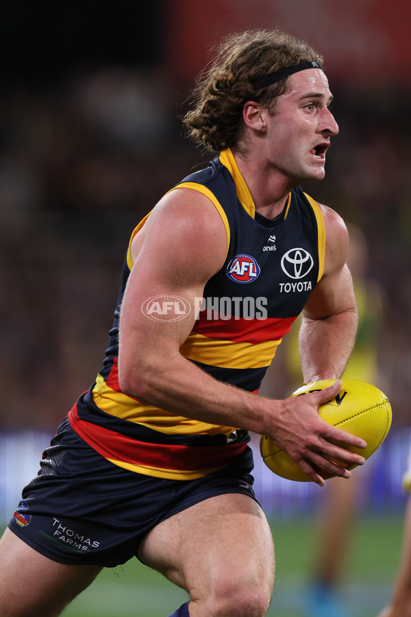 AFL 2024 Round 13 - Adelaide v Richmond - A-50208067