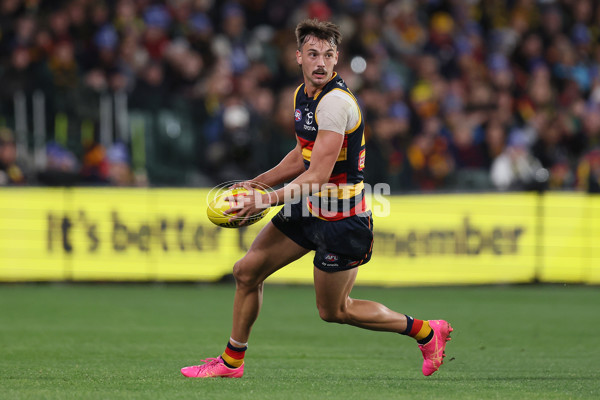 AFL 2024 Round 13 - Adelaide v Richmond - A-50208069