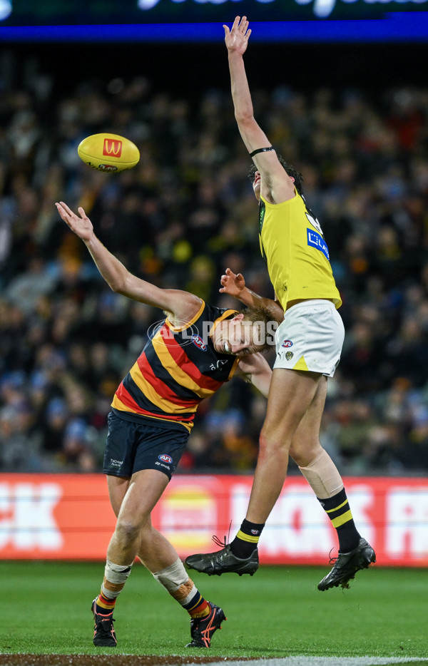 AFL 2024 Round 13 - Adelaide v Richmond - A-50208076