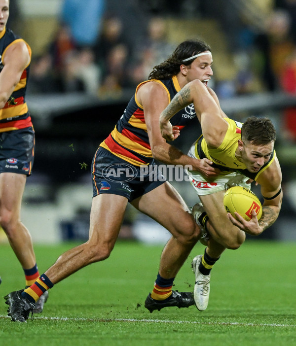 AFL 2024 Round 13 - Adelaide v Richmond - A-50208102