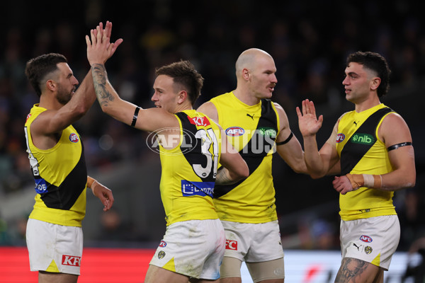 AFL 2024 Round 13 - Adelaide v Richmond - A-50208105