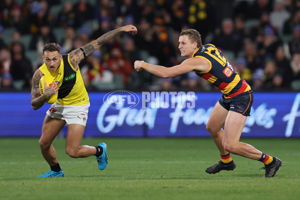 AFL 2024 Round 13 - Adelaide v Richmond - A-50208106