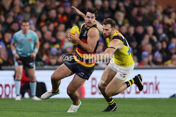AFL 2024 Round 13 - Adelaide v Richmond - A-50208107