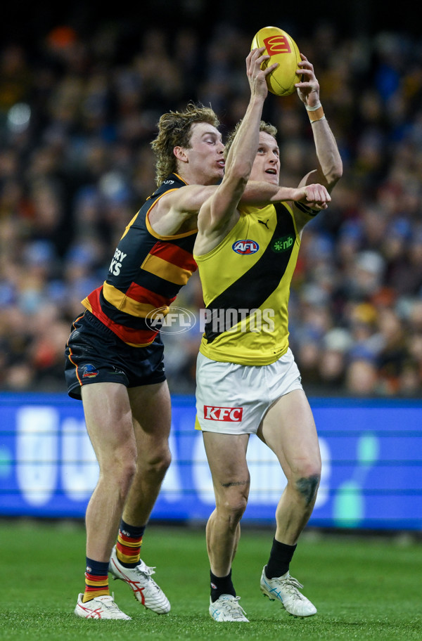 AFL 2024 Round 13 - Adelaide v Richmond - A-50217818