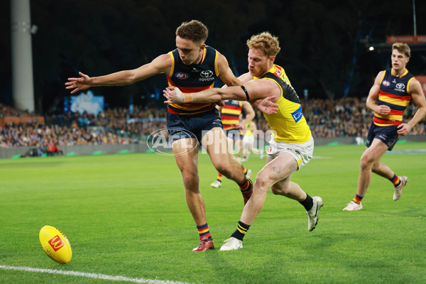 AFL 2024 Round 13 - Adelaide v Richmond - A-50217826