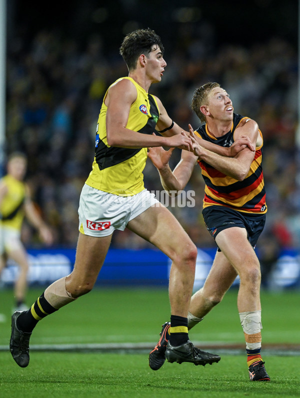 AFL 2024 Round 13 - Adelaide v Richmond - A-50217829