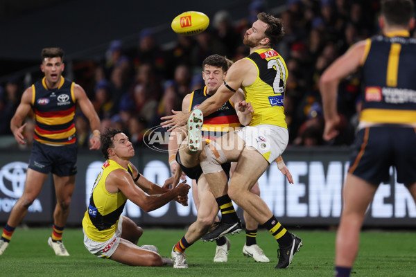 AFL 2024 Round 13 - Adelaide v Richmond - A-50217832