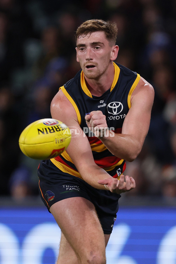AFL 2024 Round 13 - Adelaide v Richmond - A-50217835