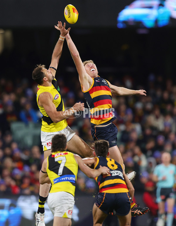 AFL 2024 Round 13 - Adelaide v Richmond - A-50217856