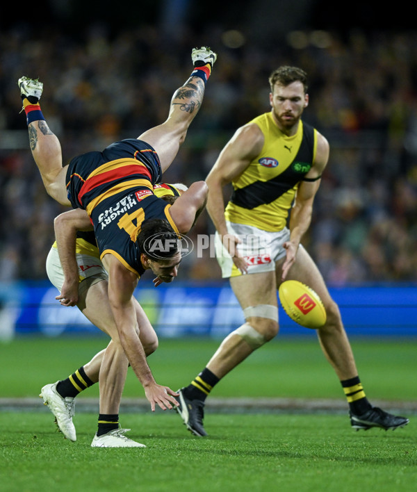 AFL 2024 Round 13 - Adelaide v Richmond - A-50217863