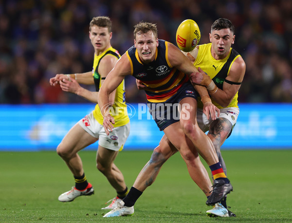 AFL 2024 Round 13 - Adelaide v Richmond - A-50217868