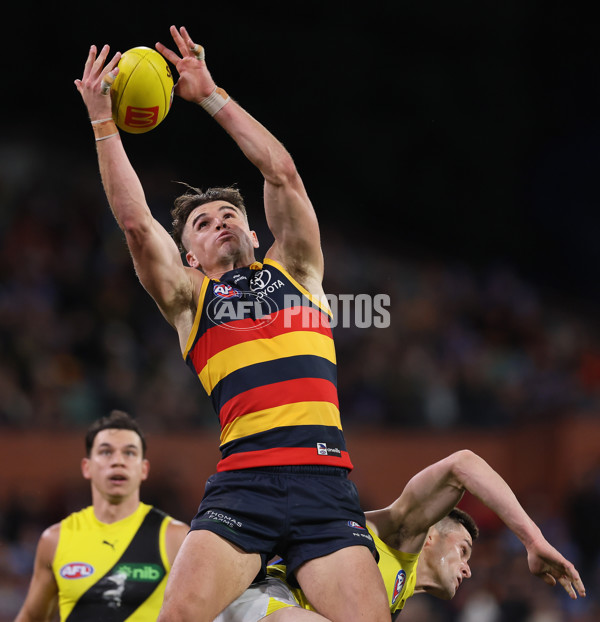 AFL 2024 Round 13 - Adelaide v Richmond - A-50217877