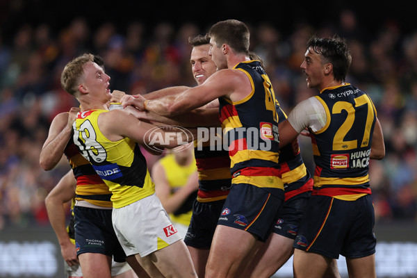 AFL 2024 Round 13 - Adelaide v Richmond - A-50217896