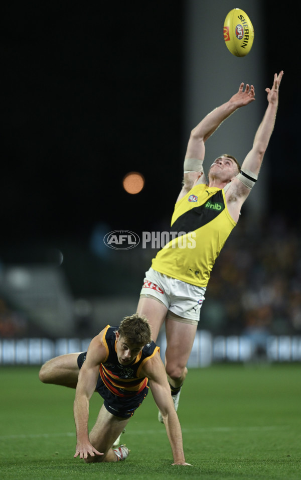 AFL 2024 Round 13 - Adelaide v Richmond - A-50217897