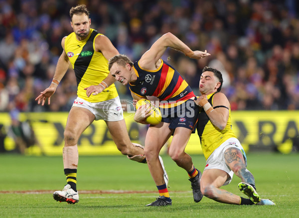 AFL 2024 Round 13 - Adelaide v Richmond - A-50217898