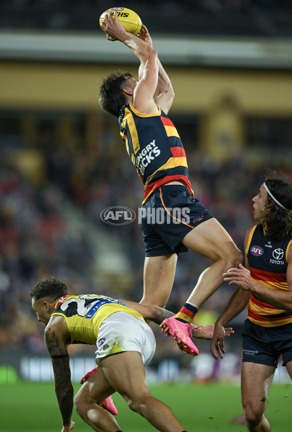 AFL 2024 Round 13 - Adelaide v Richmond - A-50217906