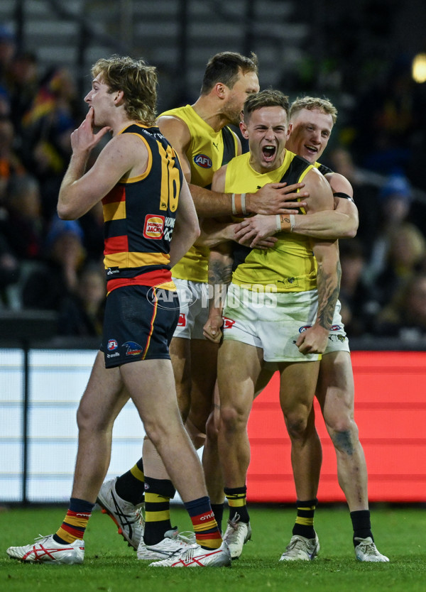 AFL 2024 Round 13 - Adelaide v Richmond - A-50239828