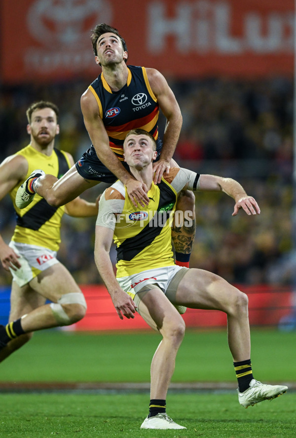 AFL 2024 Round 13 - Adelaide v Richmond - A-50239833
