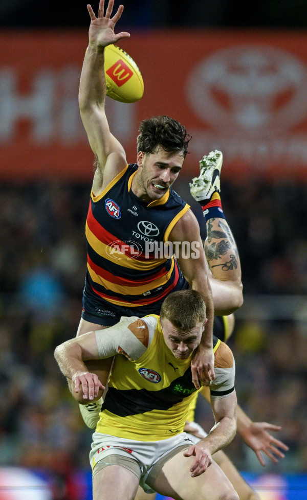 AFL 2024 Round 13 - Adelaide v Richmond - A-50239835