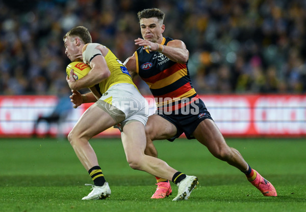 AFL 2024 Round 13 - Adelaide v Richmond - A-50239848