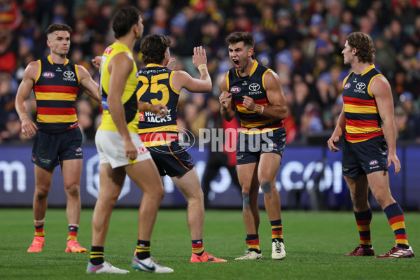AFL 2024 Round 13 - Adelaide v Richmond - A-50239853