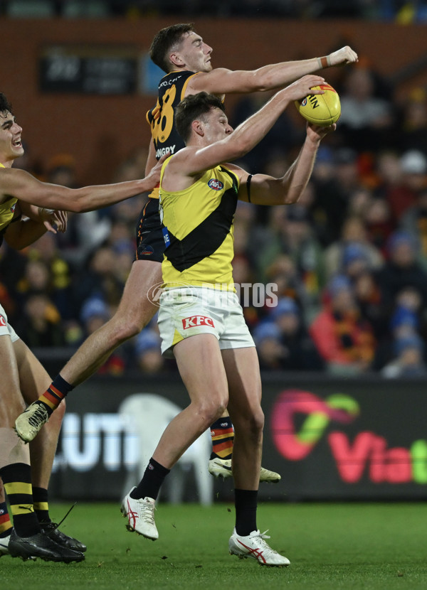 AFL 2024 Round 13 - Adelaide v Richmond - A-50239854
