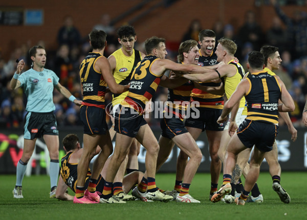 AFL 2024 Round 13 - Adelaide v Richmond - A-50239857