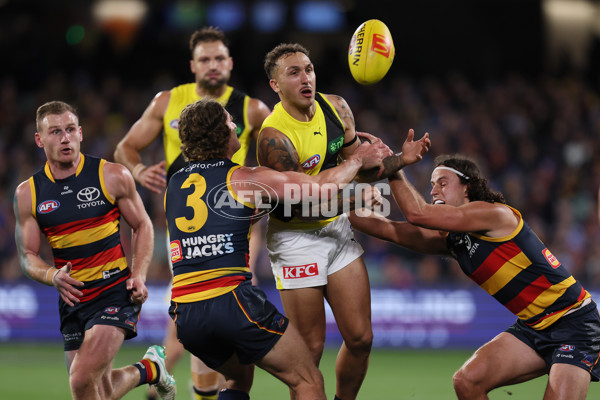 AFL 2024 Round 13 - Adelaide v Richmond - A-50239864