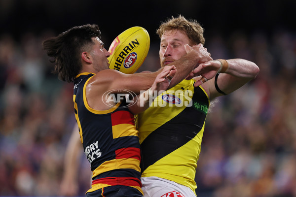 AFL 2024 Round 13 - Adelaide v Richmond - A-50239882