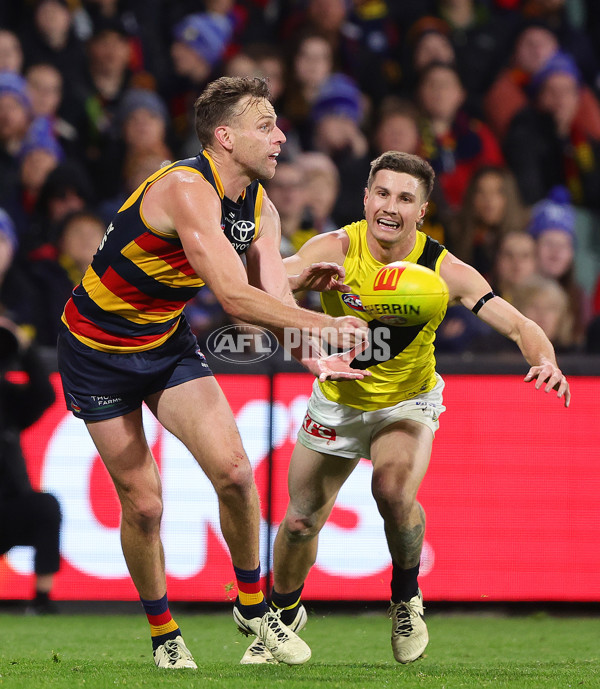 AFL 2024 Round 13 - Adelaide v Richmond - A-50239911