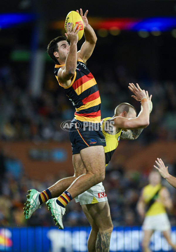 AFL 2024 Round 13 - Adelaide v Richmond - A-50258314