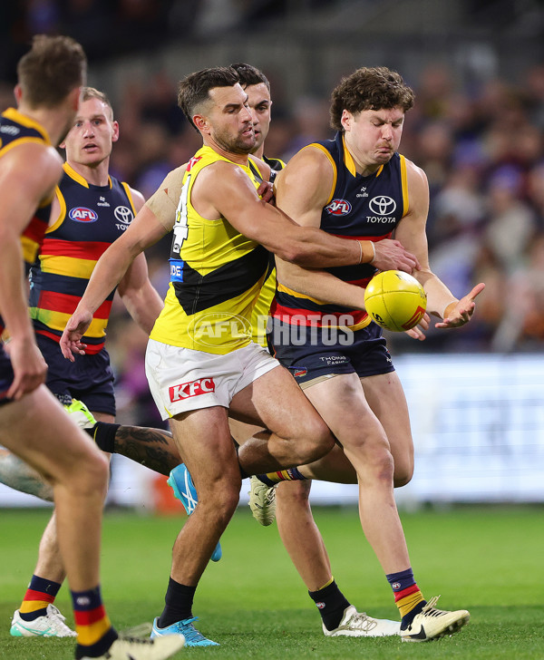 AFL 2024 Round 13 - Adelaide v Richmond - A-50258386