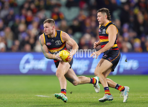 AFL 2024 Round 13 - Adelaide v Richmond - A-50258392