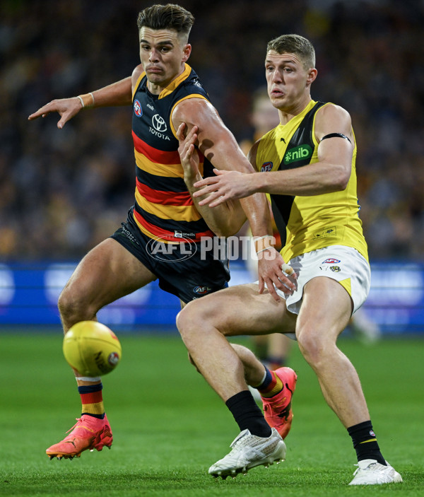 AFL 2024 Round 13 - Adelaide v Richmond - A-50258399