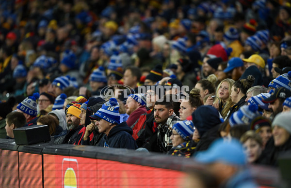 AFL 2024 Round 13 - Adelaide v Richmond - A-50258407