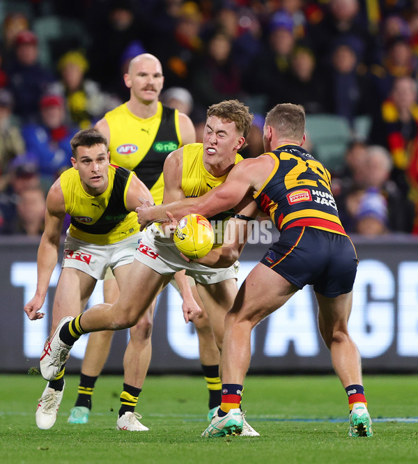 AFL 2024 Round 13 - Adelaide v Richmond - A-50282751