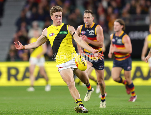 AFL 2024 Round 13 - Adelaide v Richmond - A-50282752