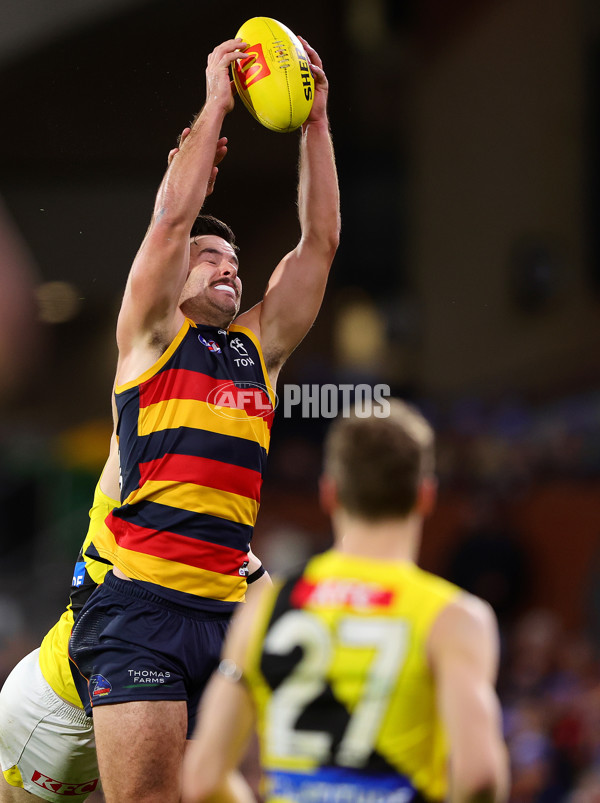 AFL 2024 Round 13 - Adelaide v Richmond - A-50282756