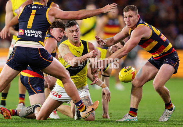 AFL 2024 Round 13 - Adelaide v Richmond - A-50282760
