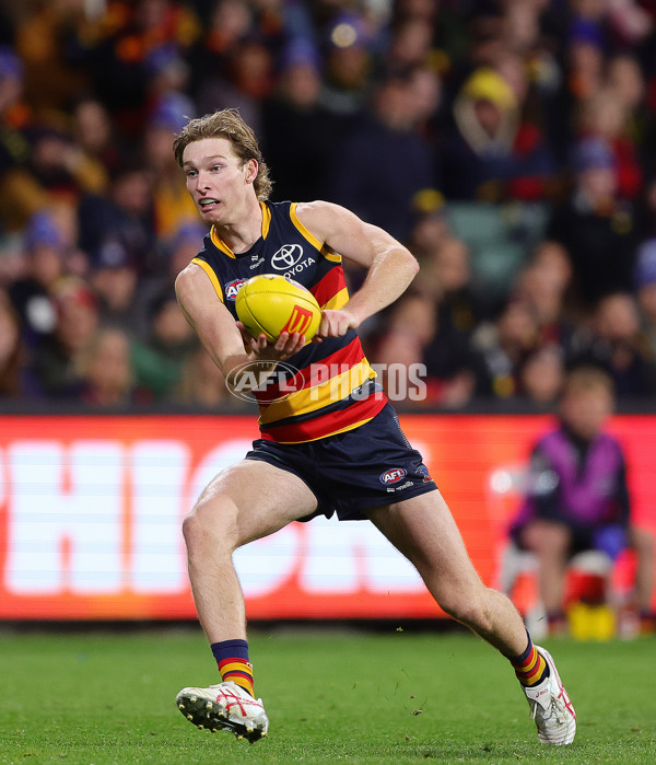 AFL 2024 Round 13 - Adelaide v Richmond - A-50282763