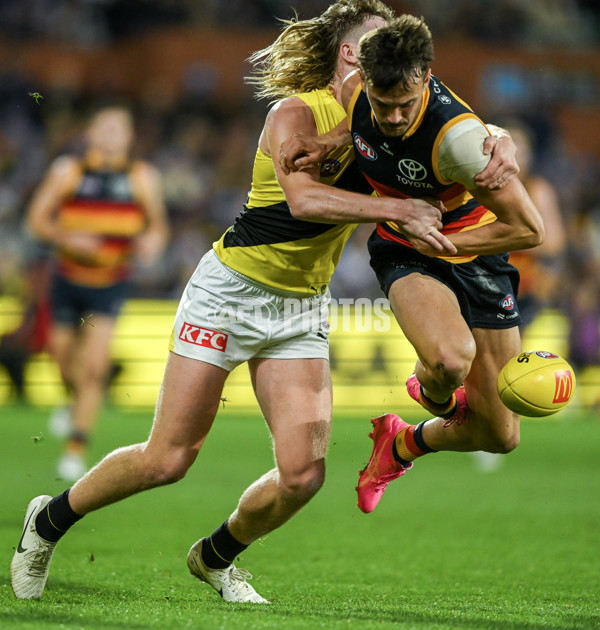 AFL 2024 Round 13 - Adelaide v Richmond - A-50282775
